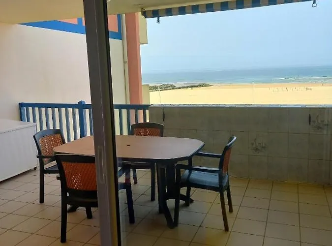Les Goelands De L\'Ocean