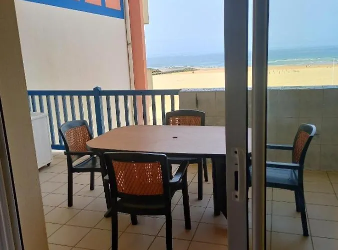 Les Goelands De L\'Ocean